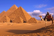  Виза в Египет